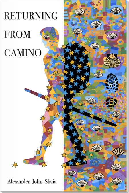 Returning From Camino Paperback