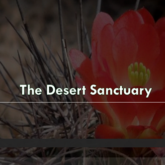 The Desert Sanctuary